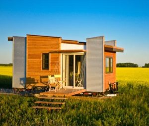TINY HOUSE PLANS - CONTEMPORARY DRAGONFLY-20 - EXTERIOR IN FIELD 2