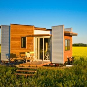 TINY HOUSE PLANS - CONTEMPORARY DRAGONFLY-20 - EXTERIOR IN FIELD 2