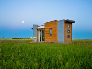 Contemporary Dragonfly-24